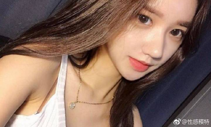 外交部：叙利亚的主权和领土完整应得到尊重